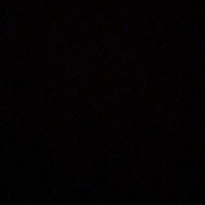 Meet your Posher, Maggie